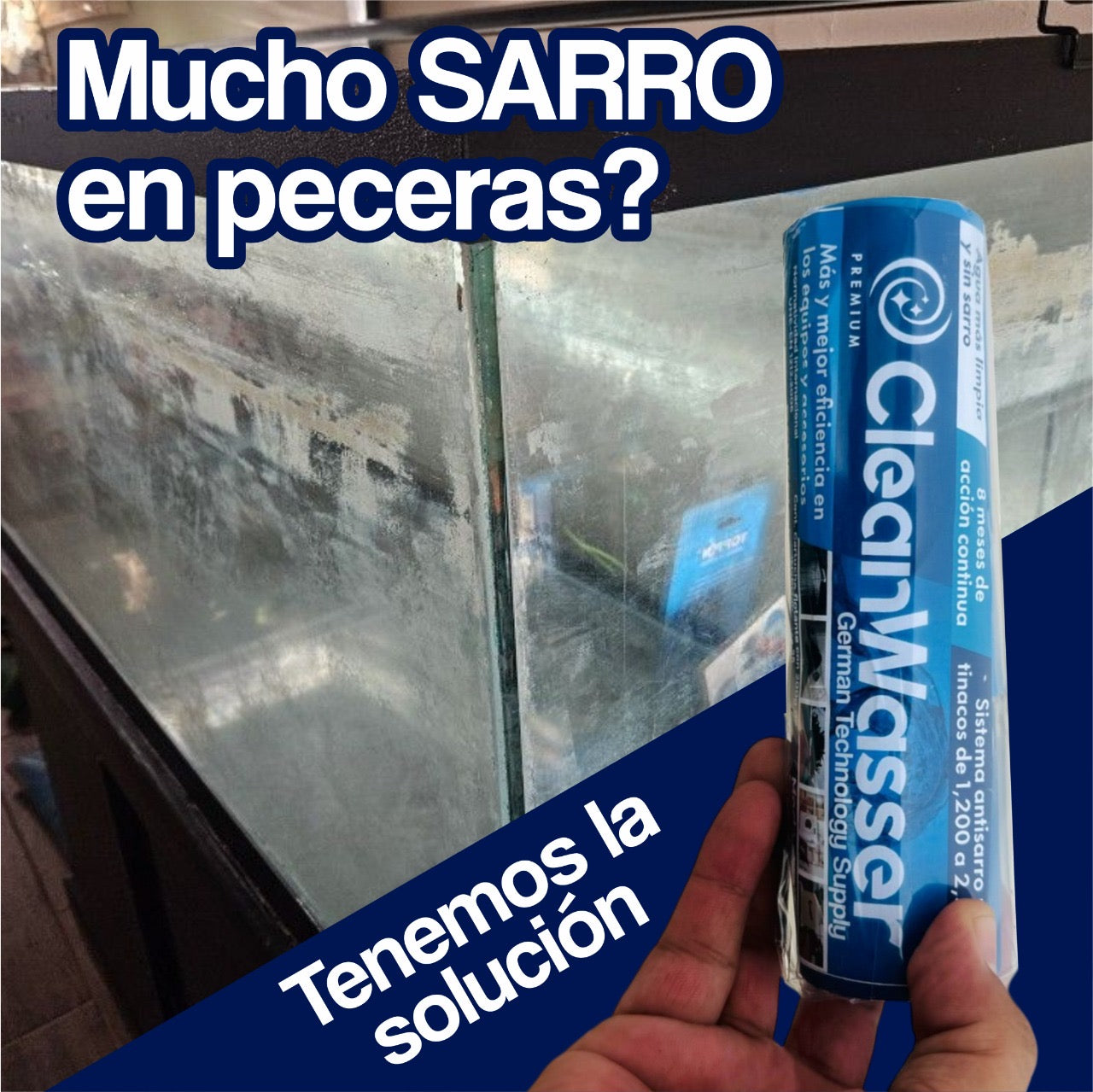 Kit Anual AntiSarro para Tinaco entre 400 a 1,100lts