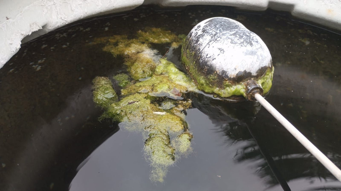 Cartucho Desinfectante para Cisternas entre 6,000 a 10,000lts